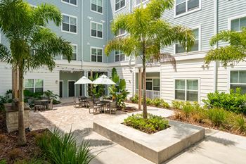 Courtyard Oasis With Palm Trees & Overhead String Lights